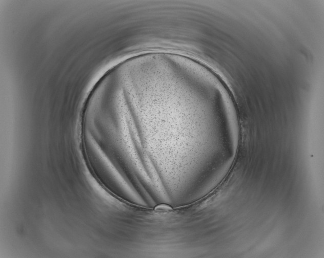 X0000111461531200907271241