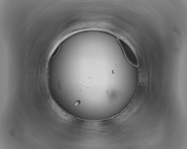 X0000111461532200907271241