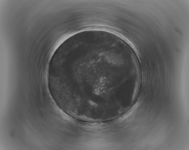 X0000111461533200907271241