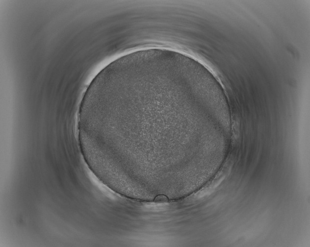 X0000111461535200907271241