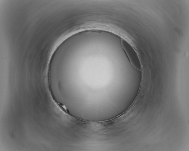 X0000111461536200907271241