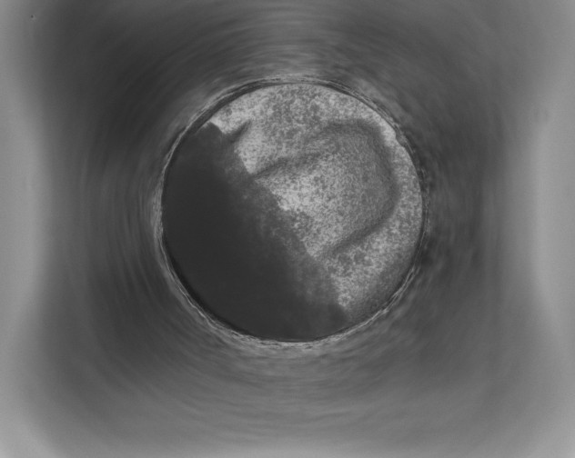 X0000111460002200908031349