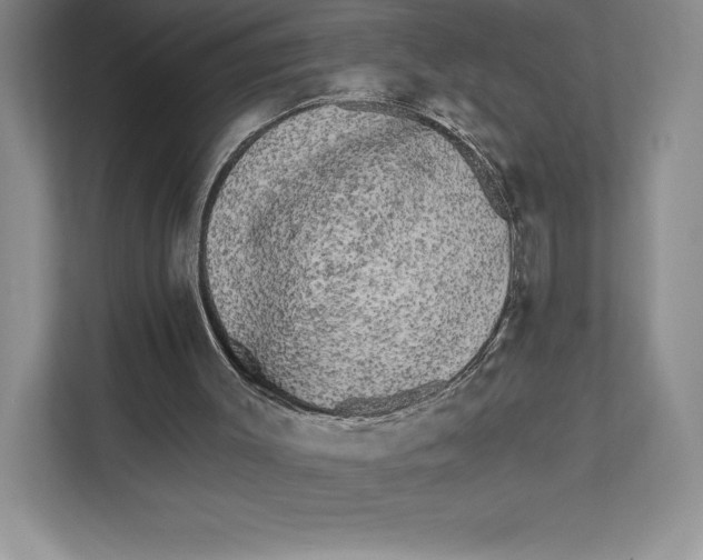 X0000111460003200908031349