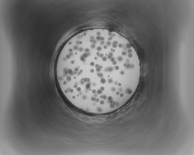 X0000111460004200908031349