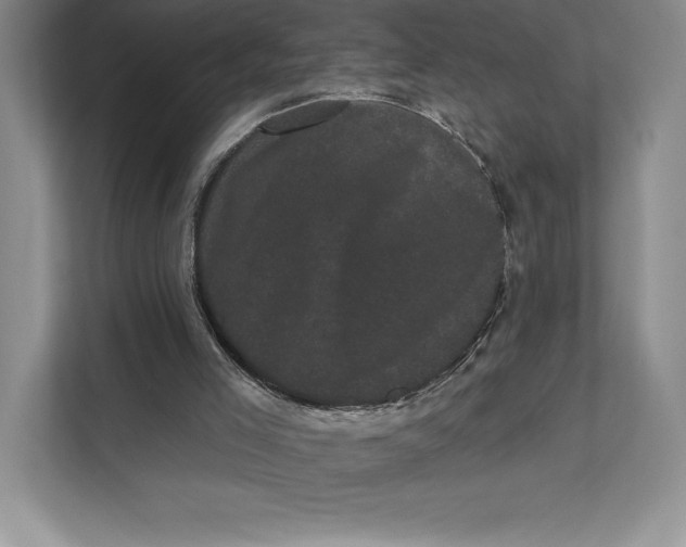 X0000111460005200908031349