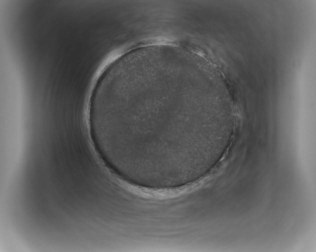 X0000111460006200908031349