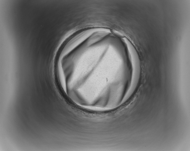 X0000111460008200908031349
