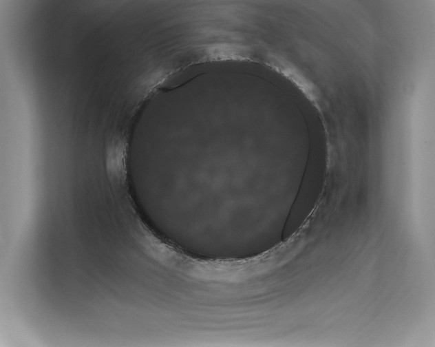 X0000111460009200908031349