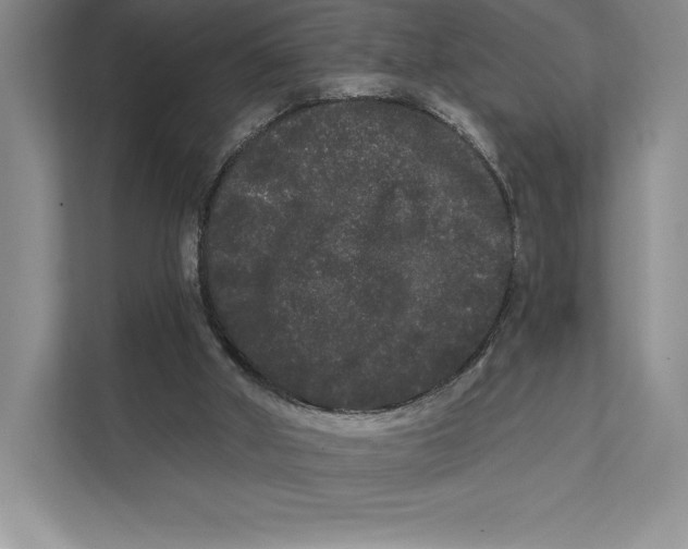 X0000111460010200908031349