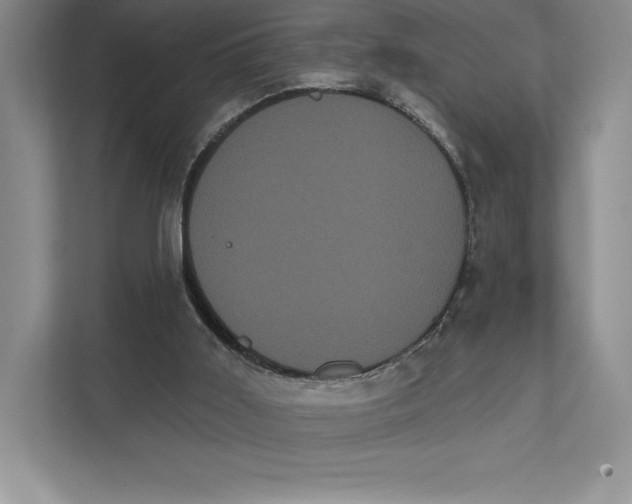 X0000111460011200908031349