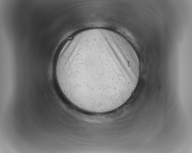 X0000111460012200908031349