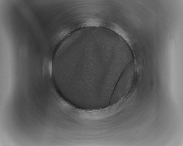 X0000111460013200908031349