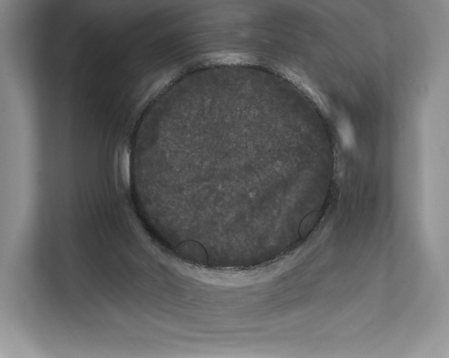 X0000111460014200908031349