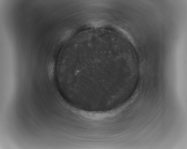 X0000111460018200908031349