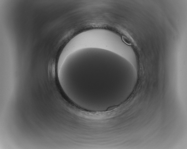 X0000111460019200908031349