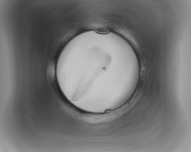 X0000111460021200908031349