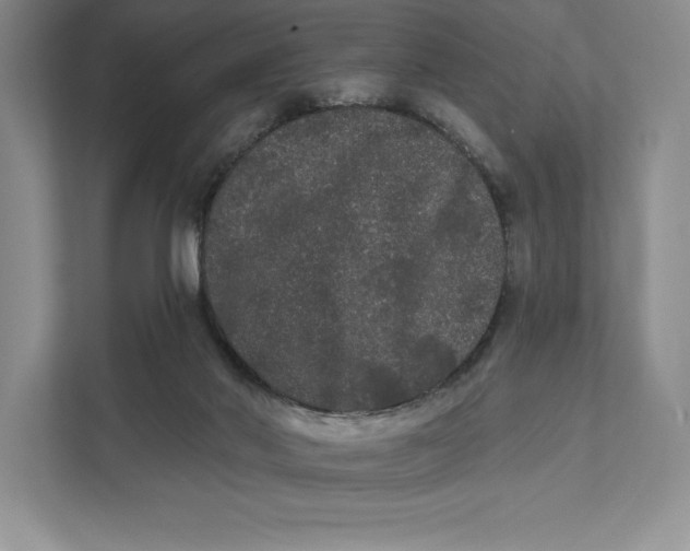 X0000111460022200908031349