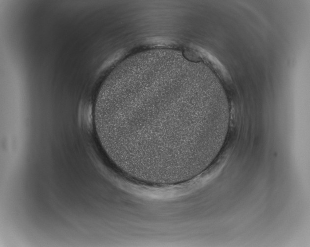 X0000111460024200908031349