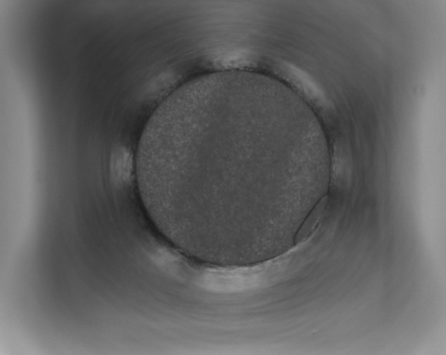 X0000111460025200908031349