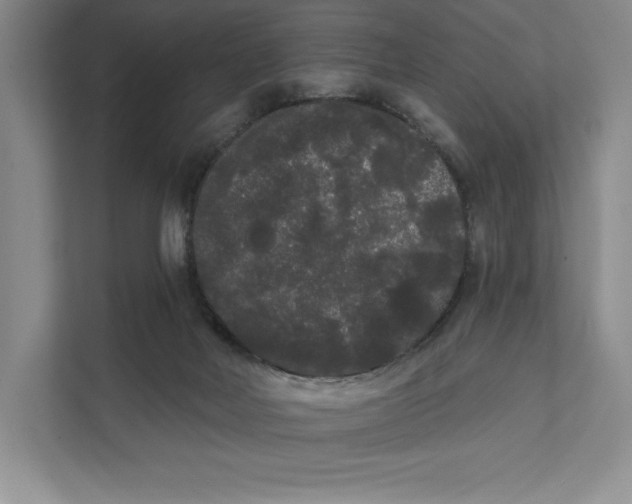 X0000111460026200908031349