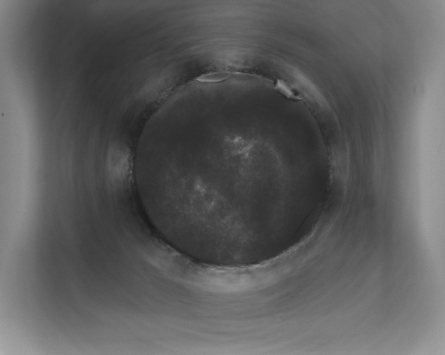 X0000111460029200908031349
