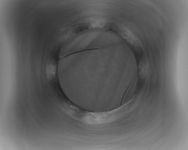X0000111460033200908031348