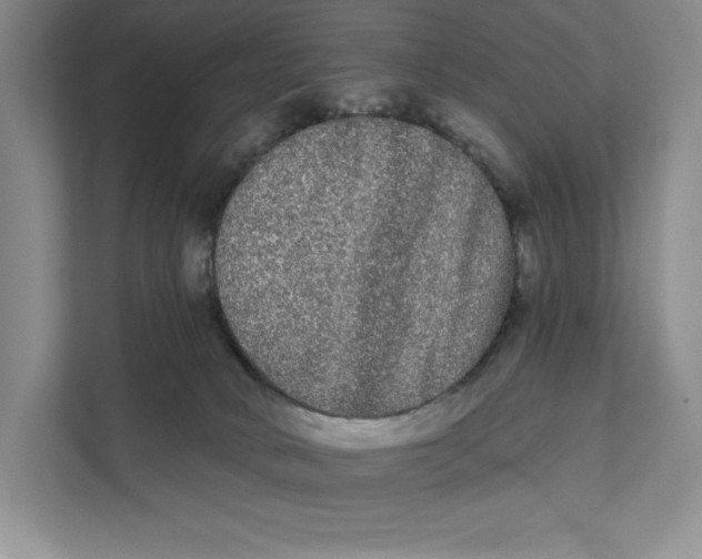 X0000111460034200908031348