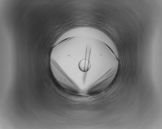 X0000111460036200908031348
