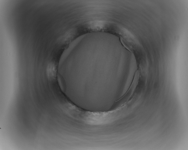 X0000111460037200908031348