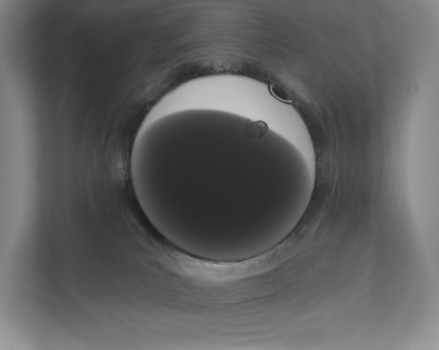 X0000111460039200908031348