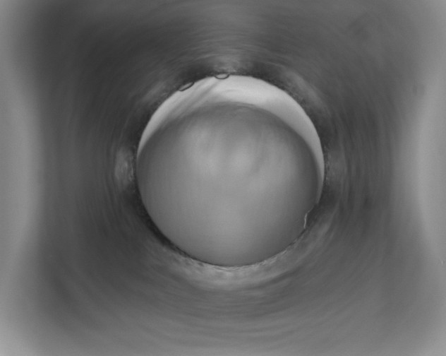 X0000111460043200908031348