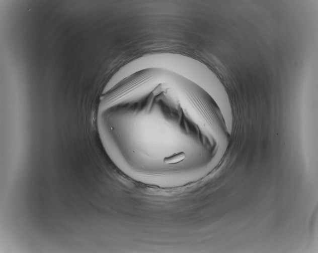 X0000111460045200908031348
