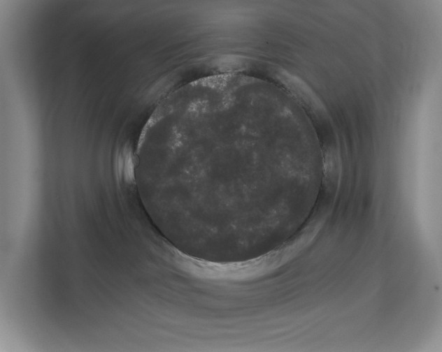 X0000111460046200908031348