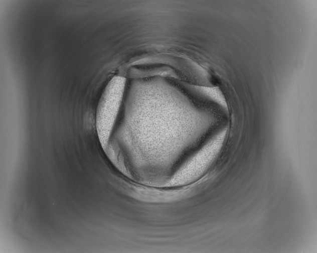 X0000111460048200908031348