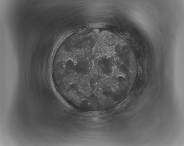 X0000111460049200908031348