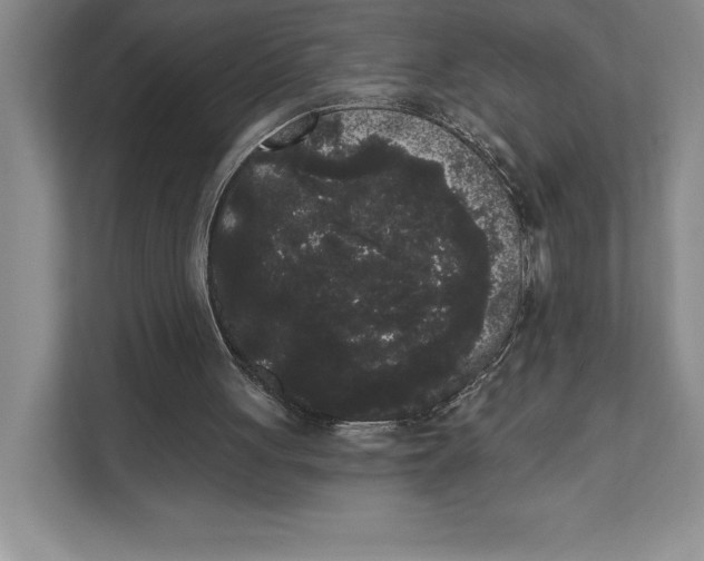 X0000111460051200908031348