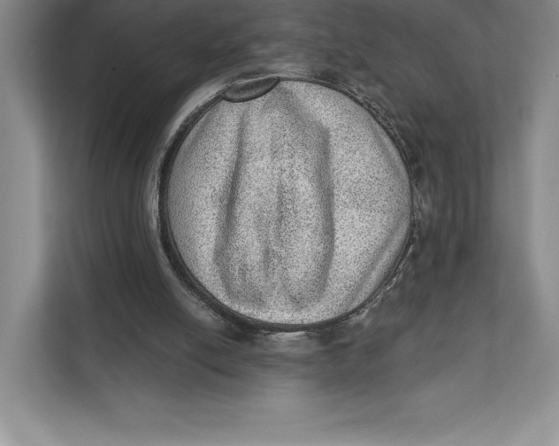 X0000111460054200908031348