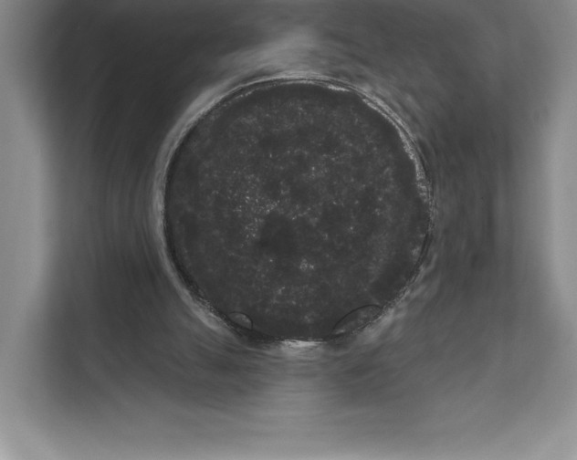 X0000111460055200908031348
