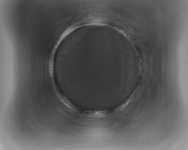 X0000111460056200908031348