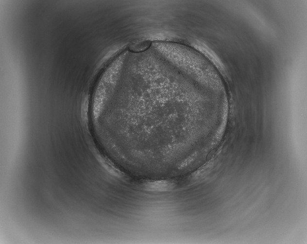 X0000111460058200908031348