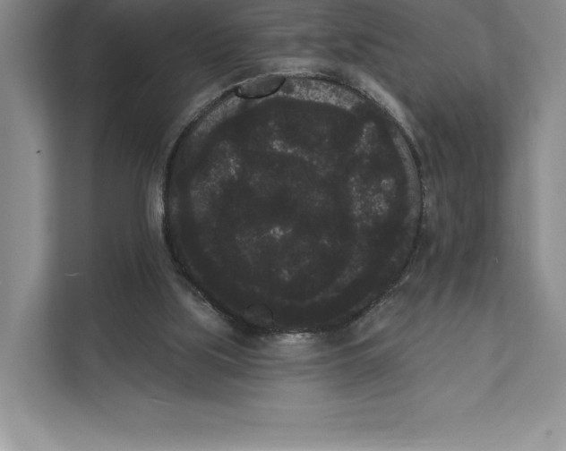 X0000111460059200908031348