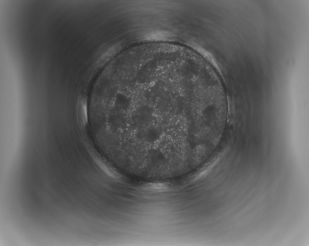 X0000111460061200908031348