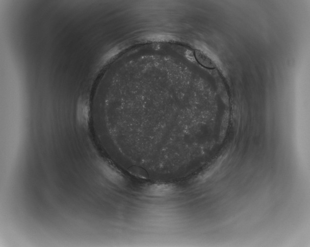 X0000111460063200908031348