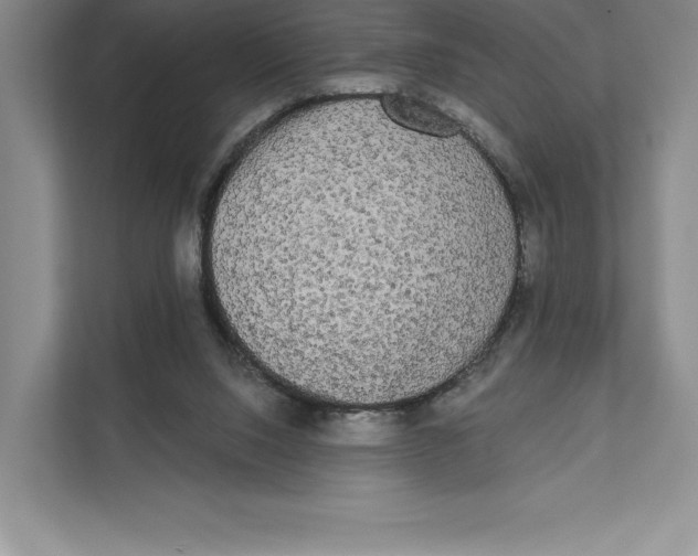 X0000111460064200908031348