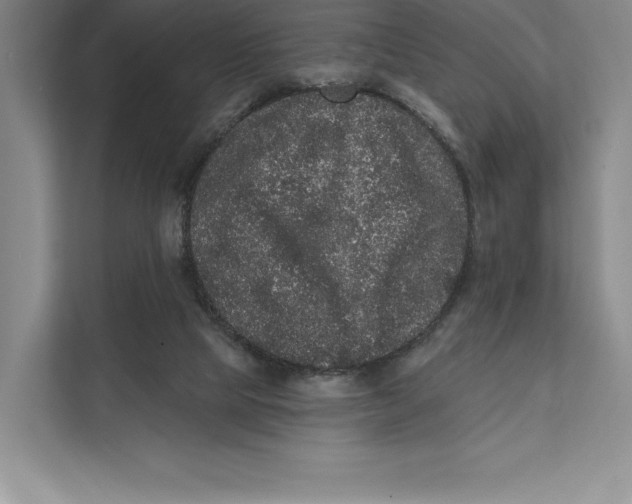 X0000111460065200908031348