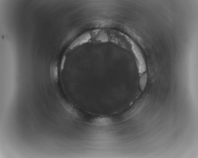 X0000111460067200908031348