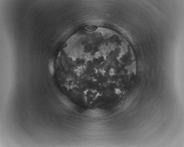 X0000111460069200908031348
