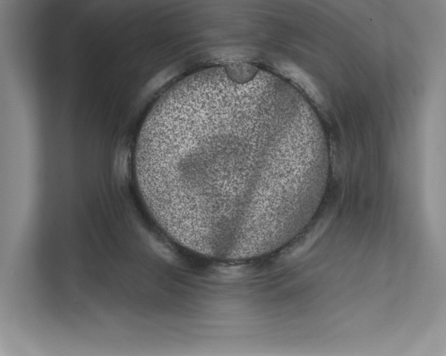 X0000111460071200908031348