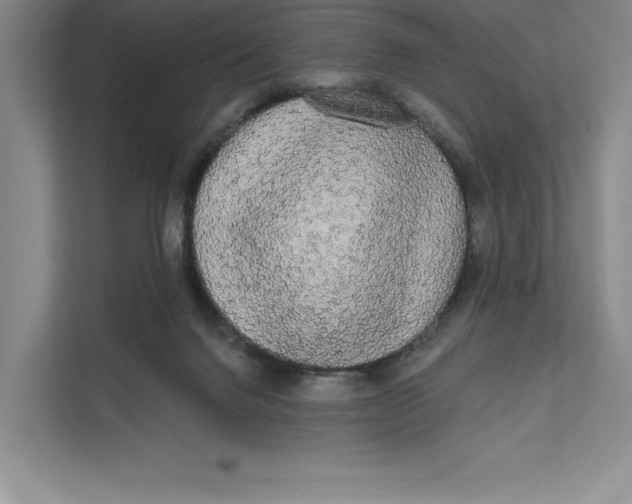 X0000111460072200908031348