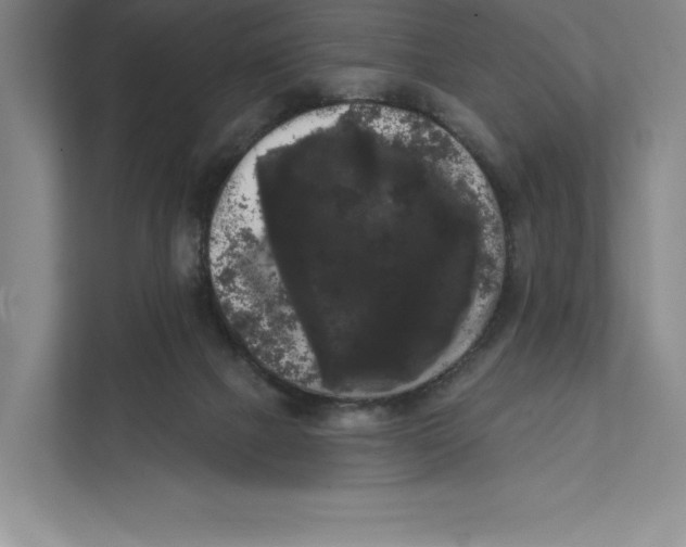 X0000111460073200908031348